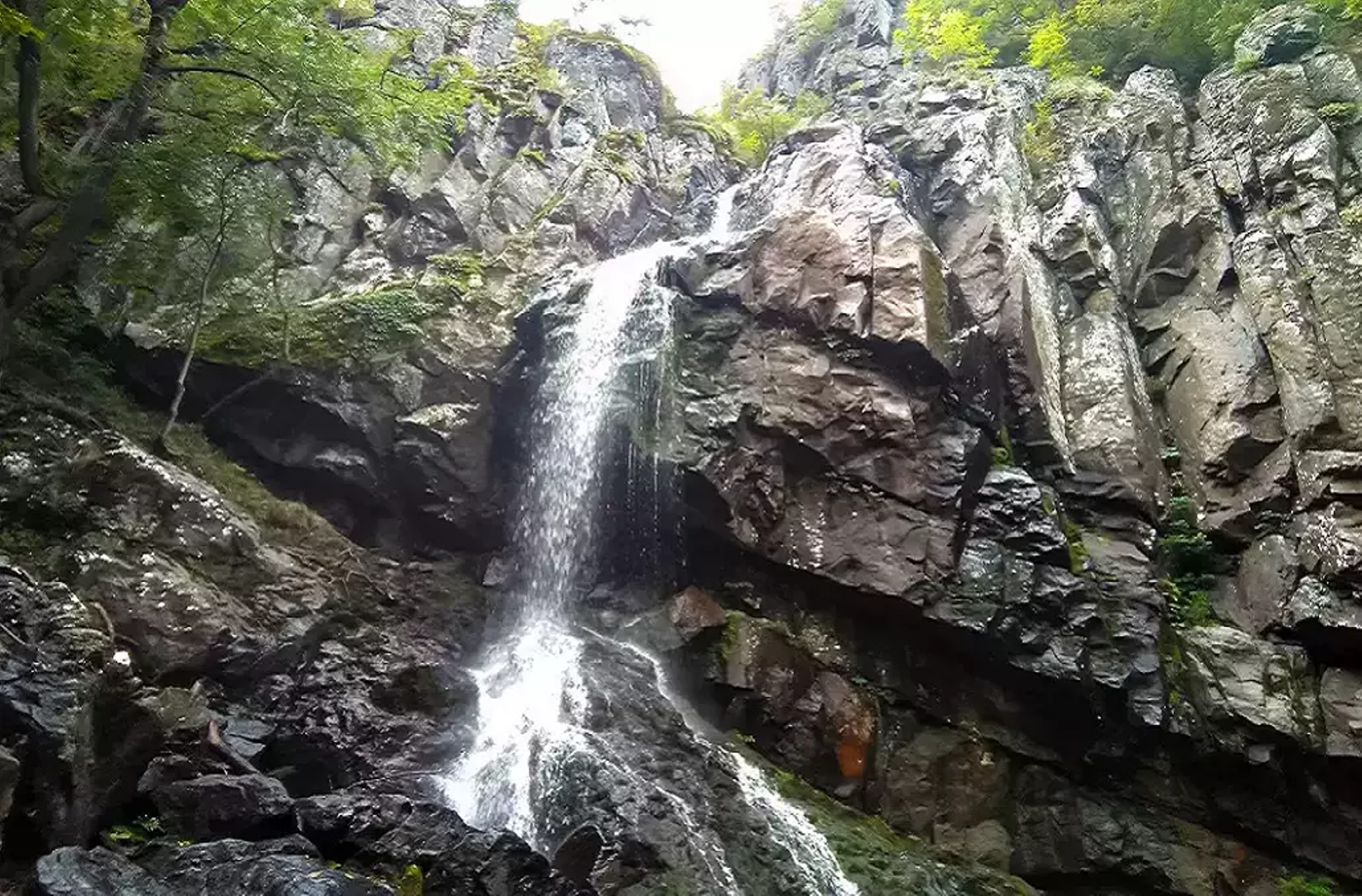 Vitosha Mountain