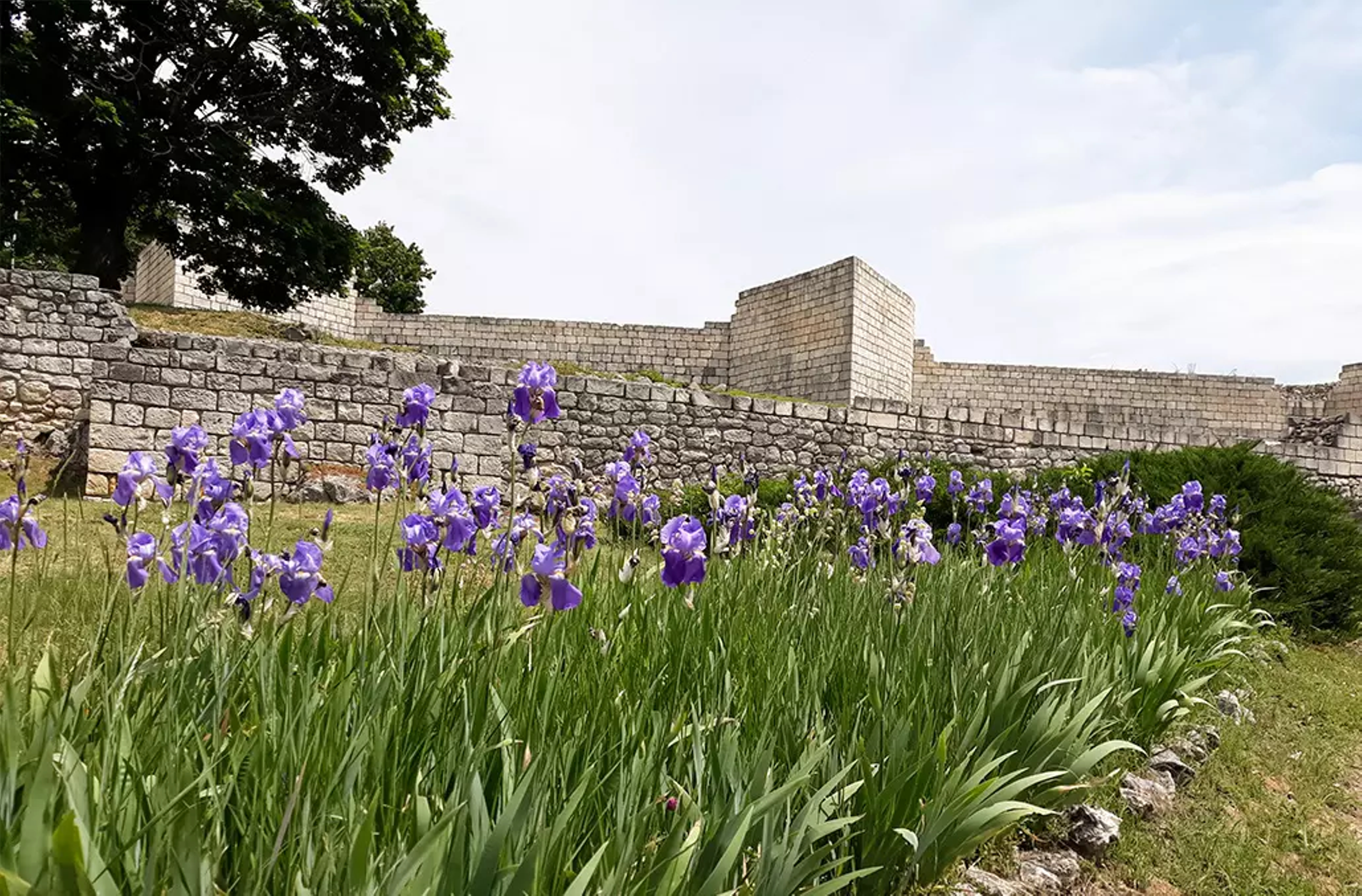 Visit Shumen