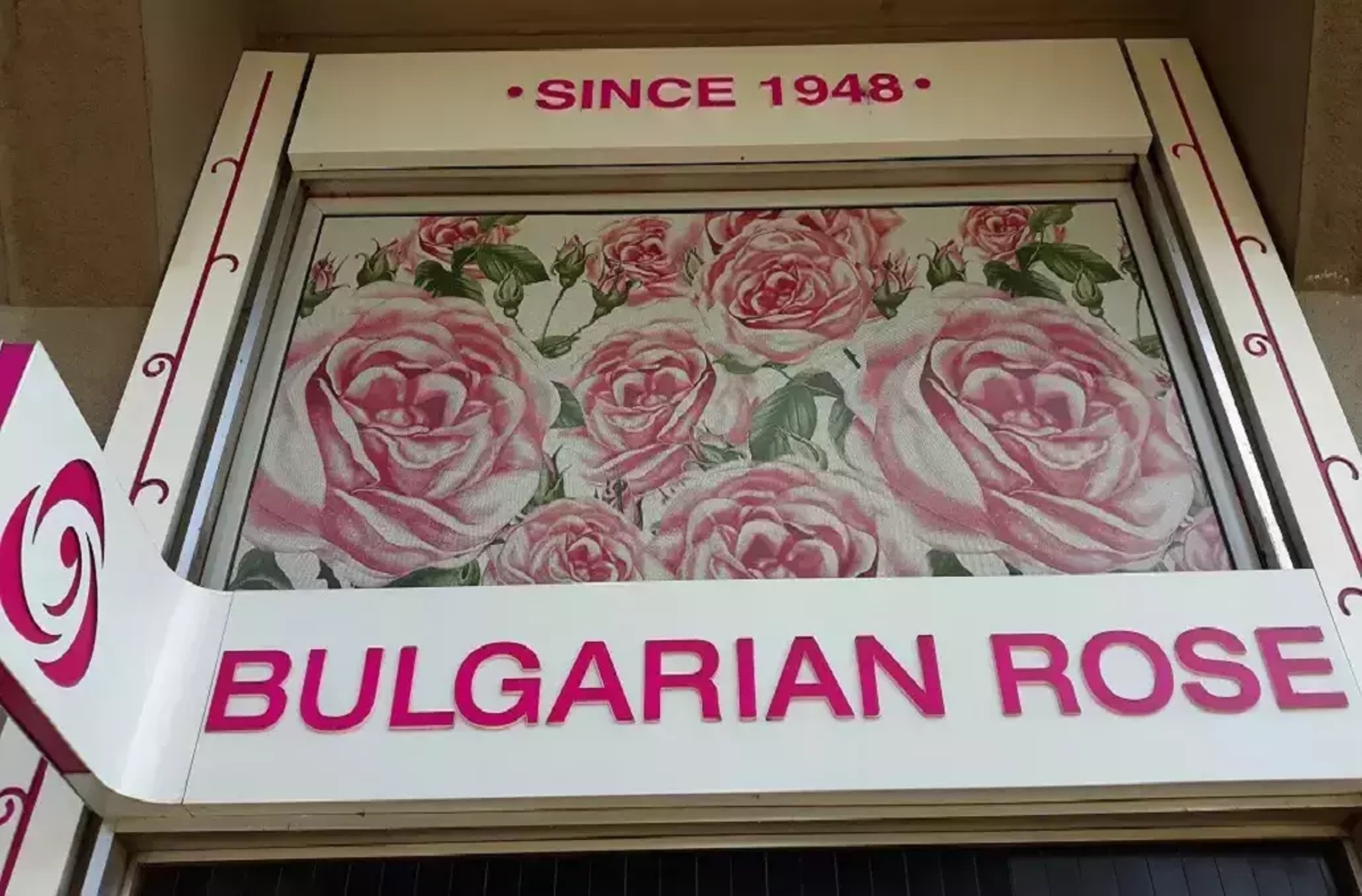 Bulgarian Rose in Sofia