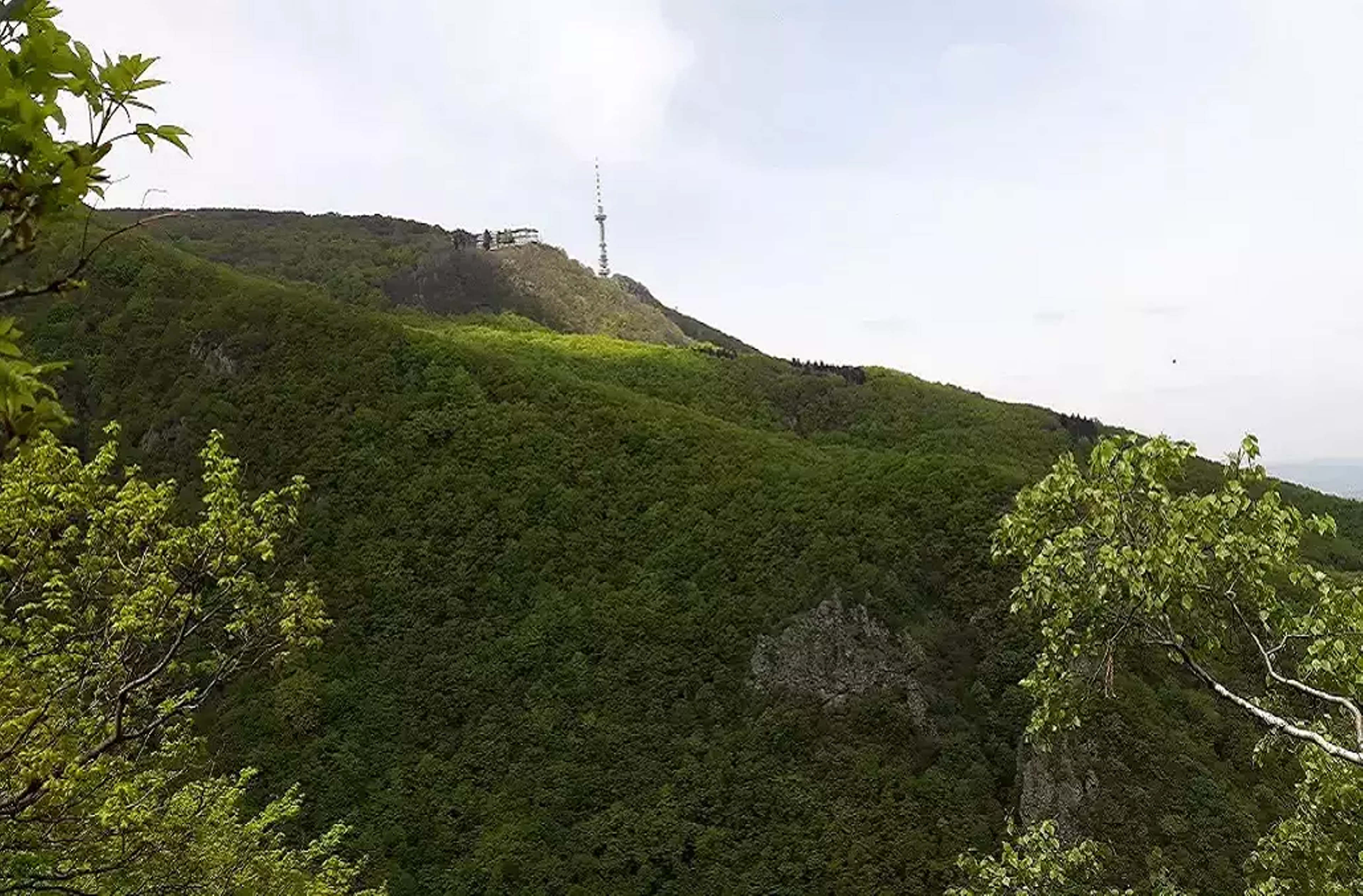 Vitosha Mountain