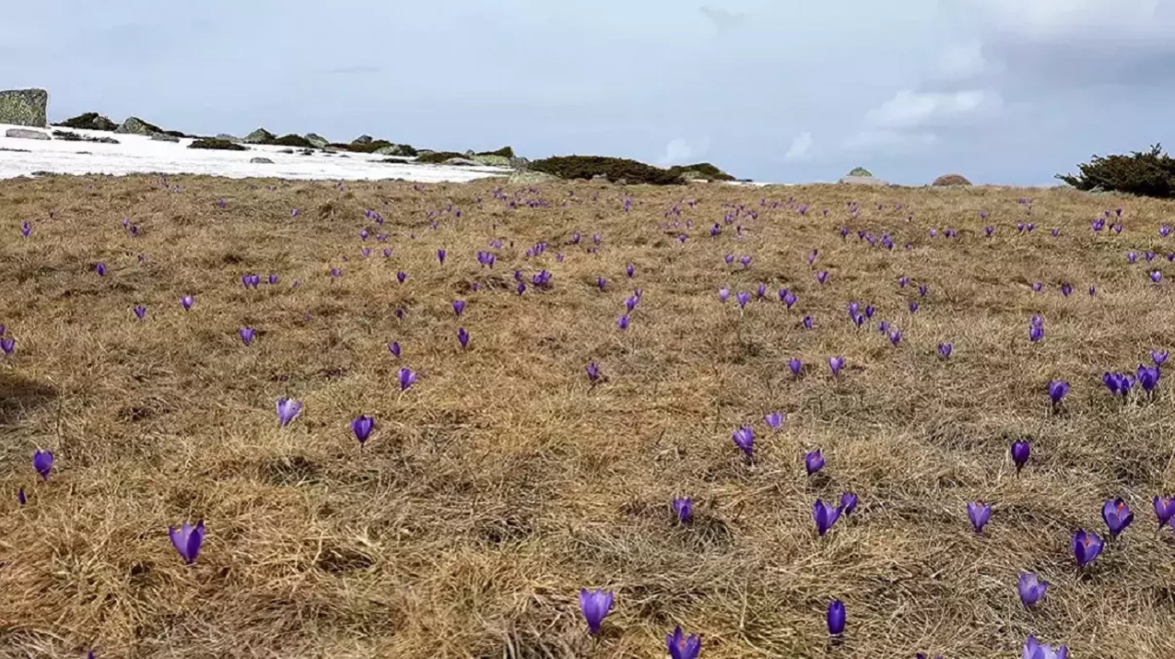 Vitosha Mountain, Bulgaria