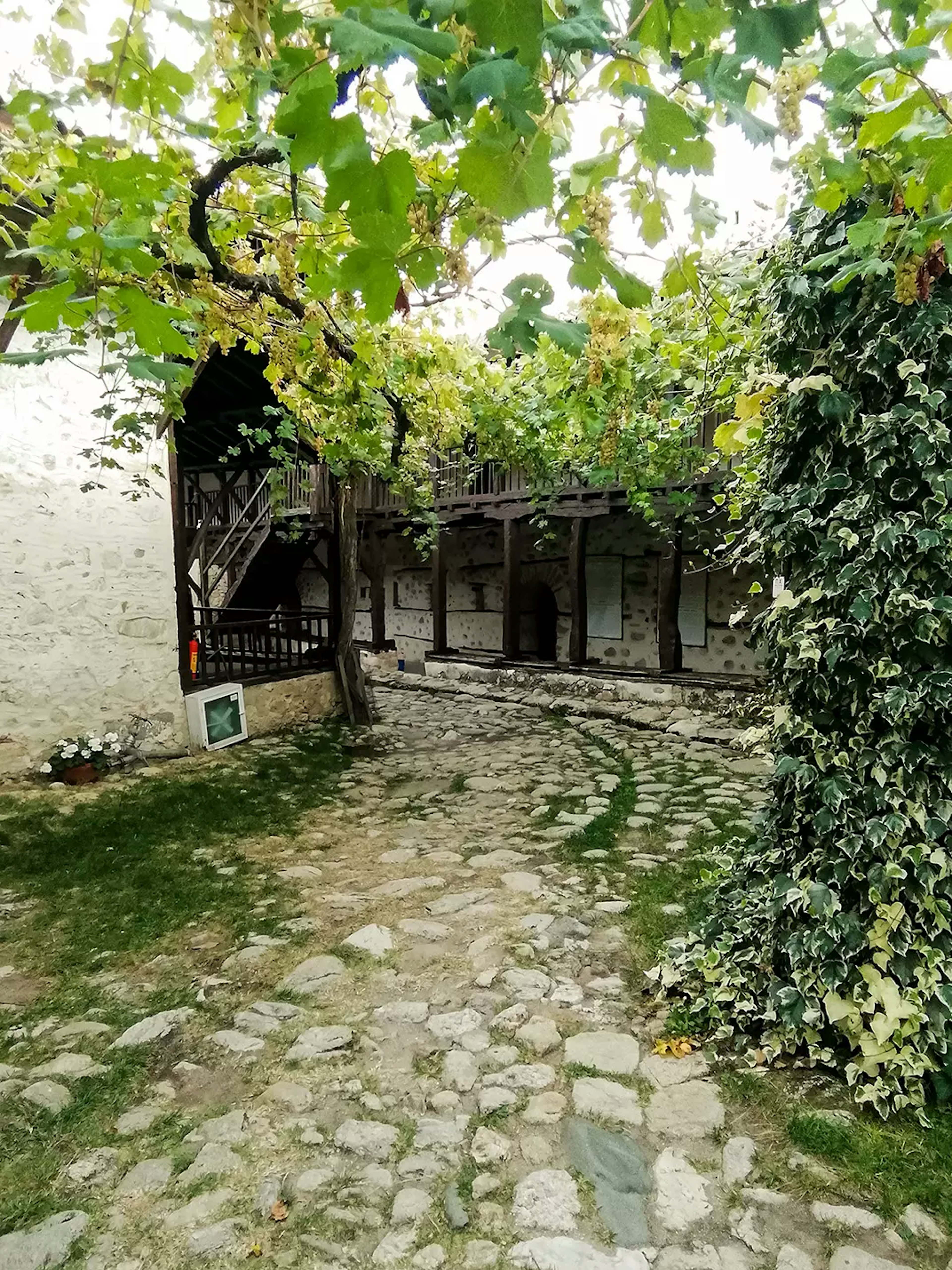 Rozhen Monastery