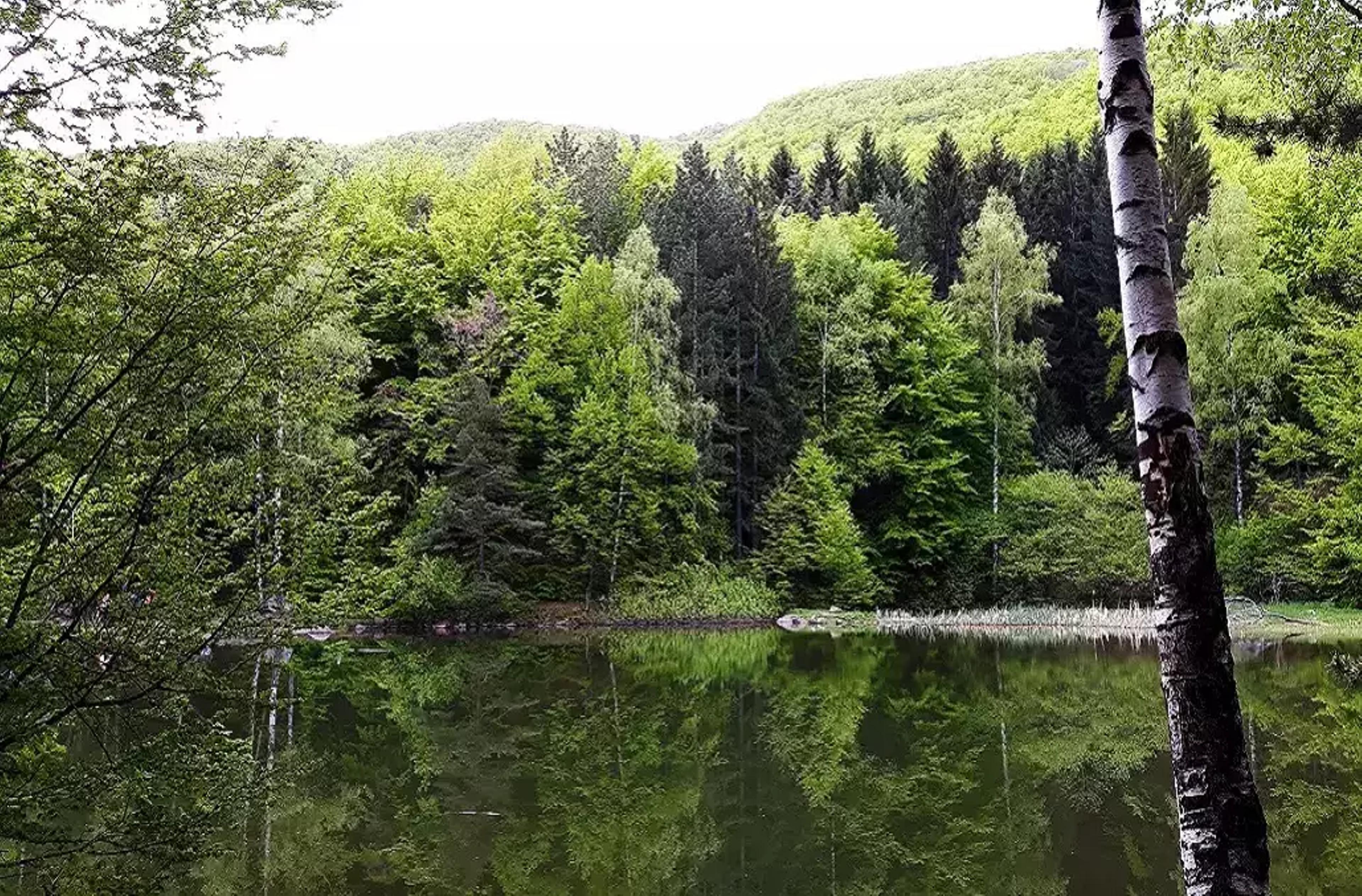 Vitosha Mountain, Bulgaria