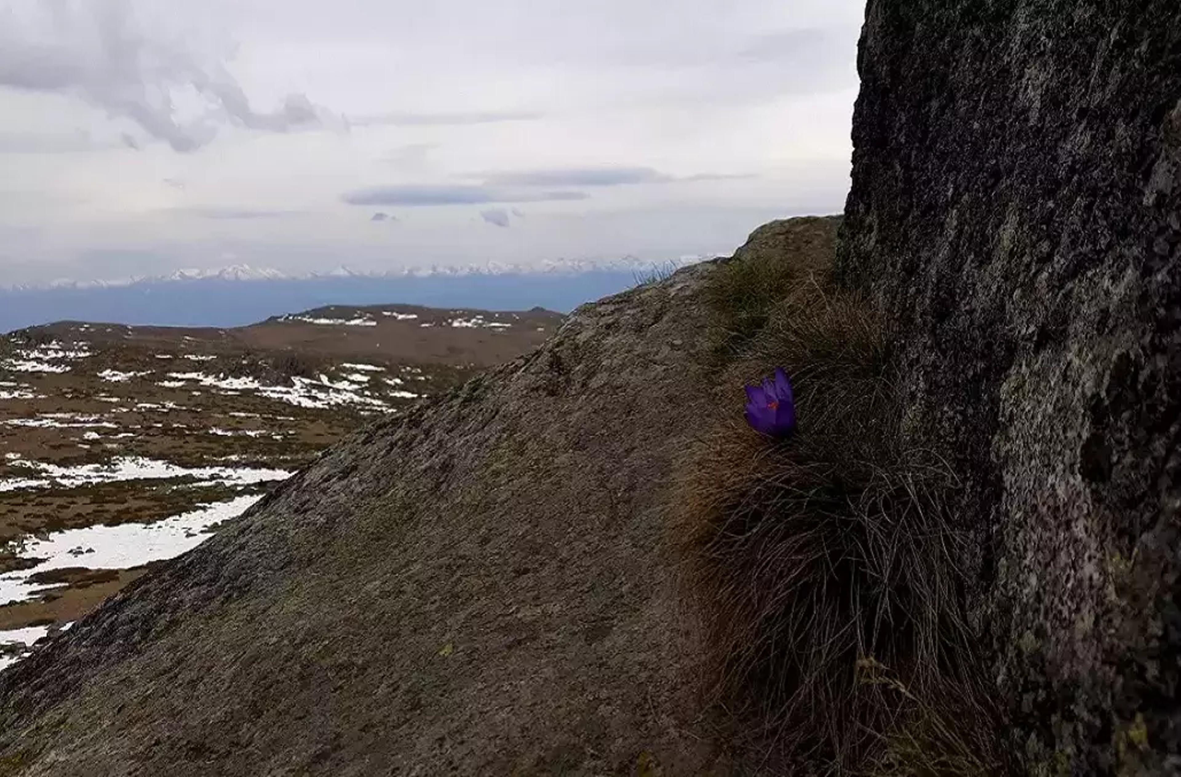 Vitosha Mountain, Bulgaria